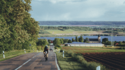 Mittel (262-_PBL3085).png