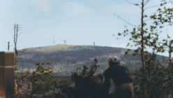 Mittel (506-_PBL4279).png