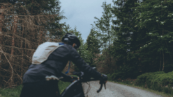 Mittel (617-_PBL5100) 2.png