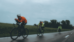 Mittel (706-_PBL5928).png