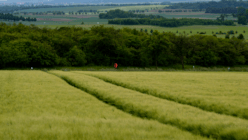 Mittel (DSCF7158).png