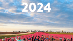 Mittel (GRL PWR).png