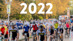 Mittel (Halle Foto).png